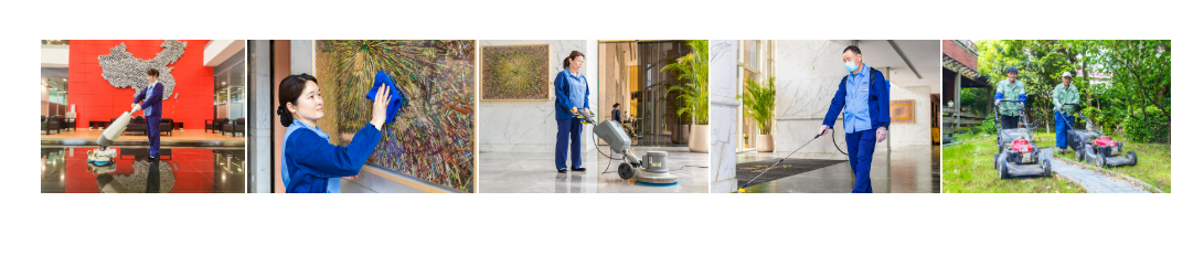 CleaningServices